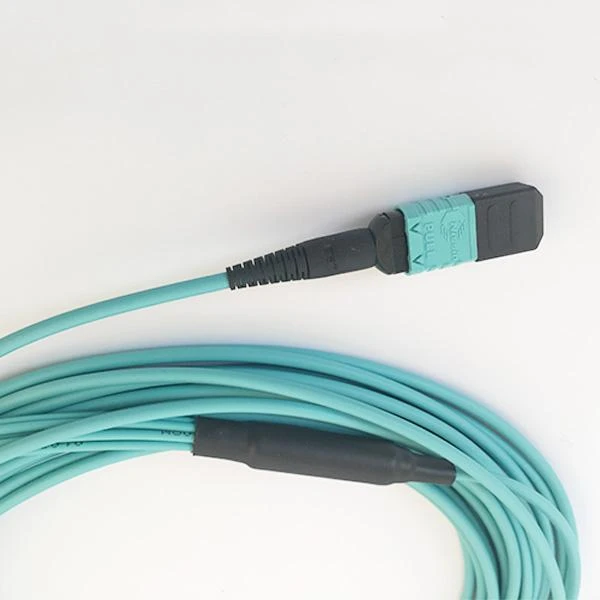 product-600-600